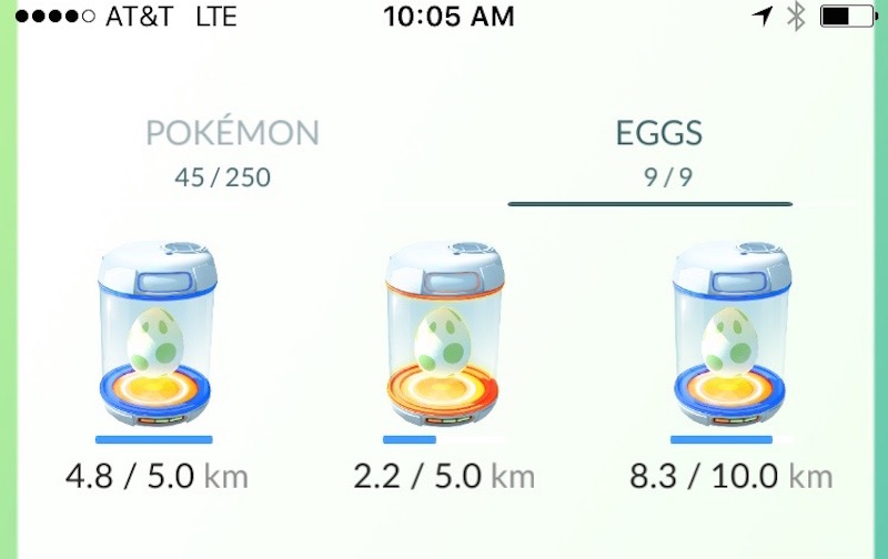 My three eggs, post-run.